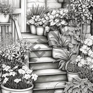 May include: A black and white pencil drawing of a set of stairs leading up to a house. The stairs are lined with potted plants, including ferns, leafy plants, and flowers. A watering can sits on the bottom step.