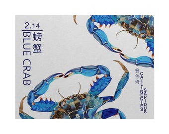 Blue Crab Horizontal Poster - White