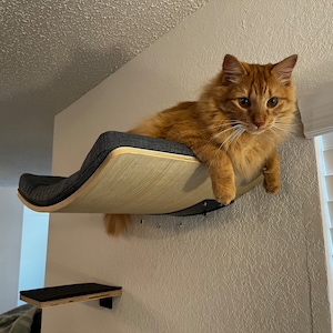 Cat Shelves for Large Cats 
