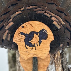 Custom Turkey Tail Plaque - Epoxy Inlay - Wood Base
