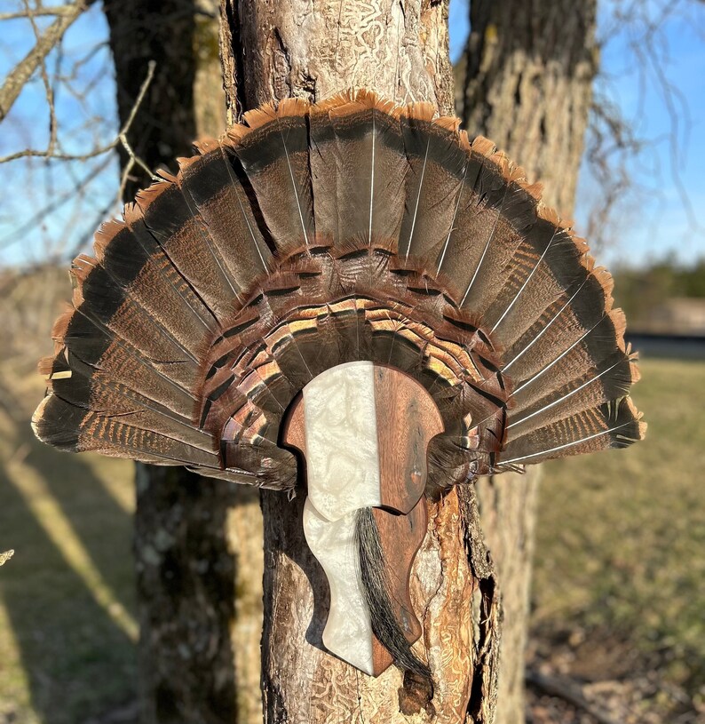 Turkey Tail Mount Plaque Epoxy & Wood Etsy