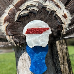 Turkey Tail Mount Plaque *State* Epoxy Inlay Tri Color Epoxy Tail Fan Plaque