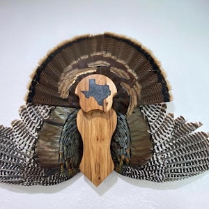 Turkey Tail Mount Plaque *State* Epoxy Inlay Turkey Wing Attachment Capable