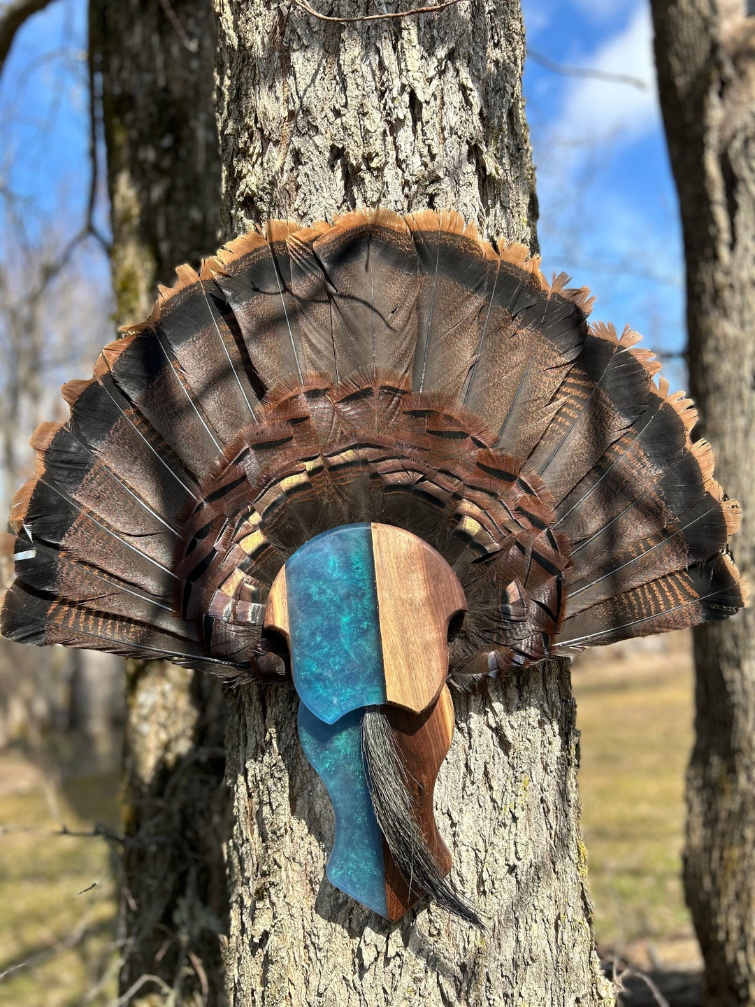 Turkey Tail Mount Plaque Epoxy & Wood Etsy