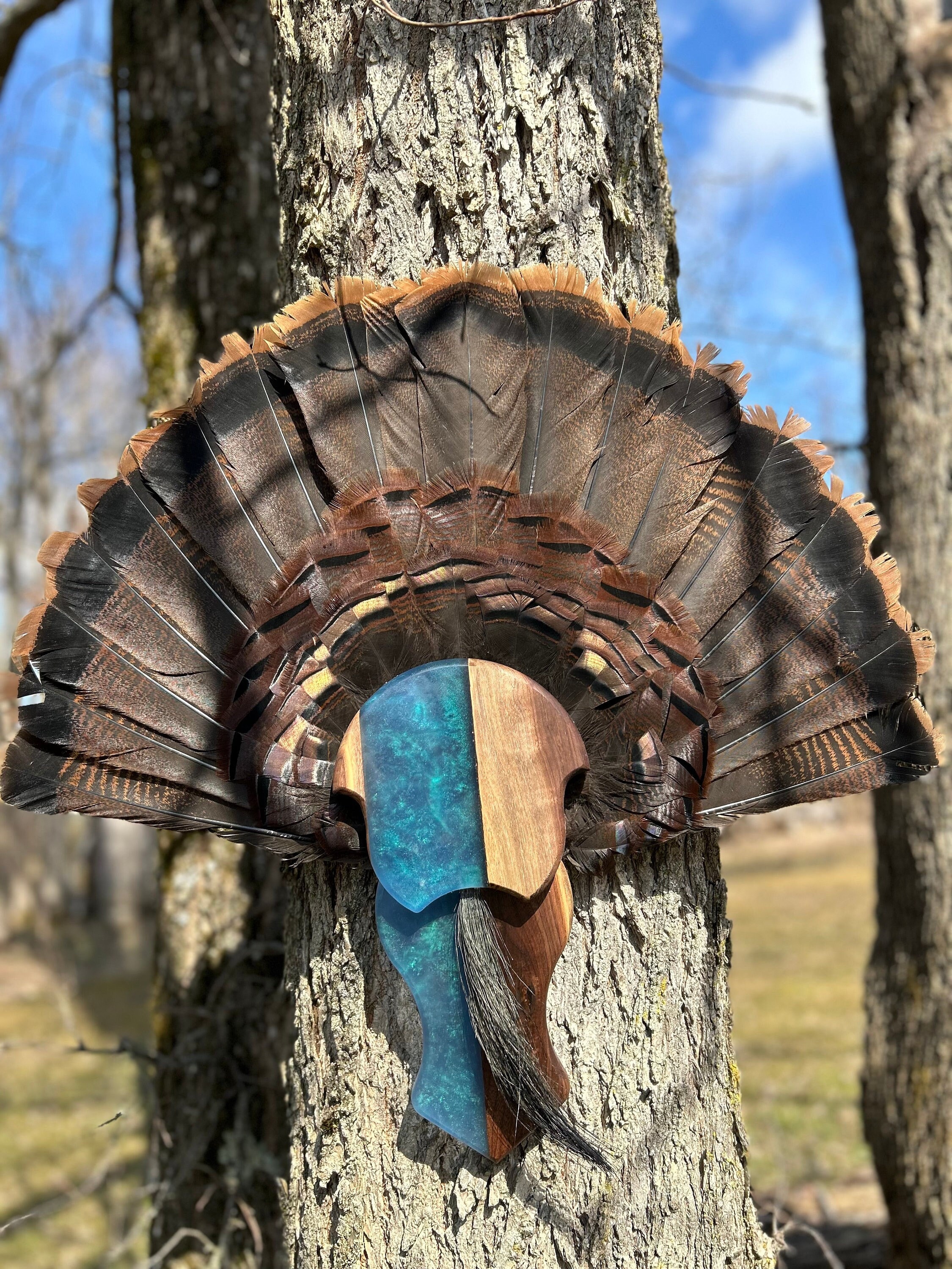 Turkey Tail Mount Plaque Epoxy & Wood Etsy