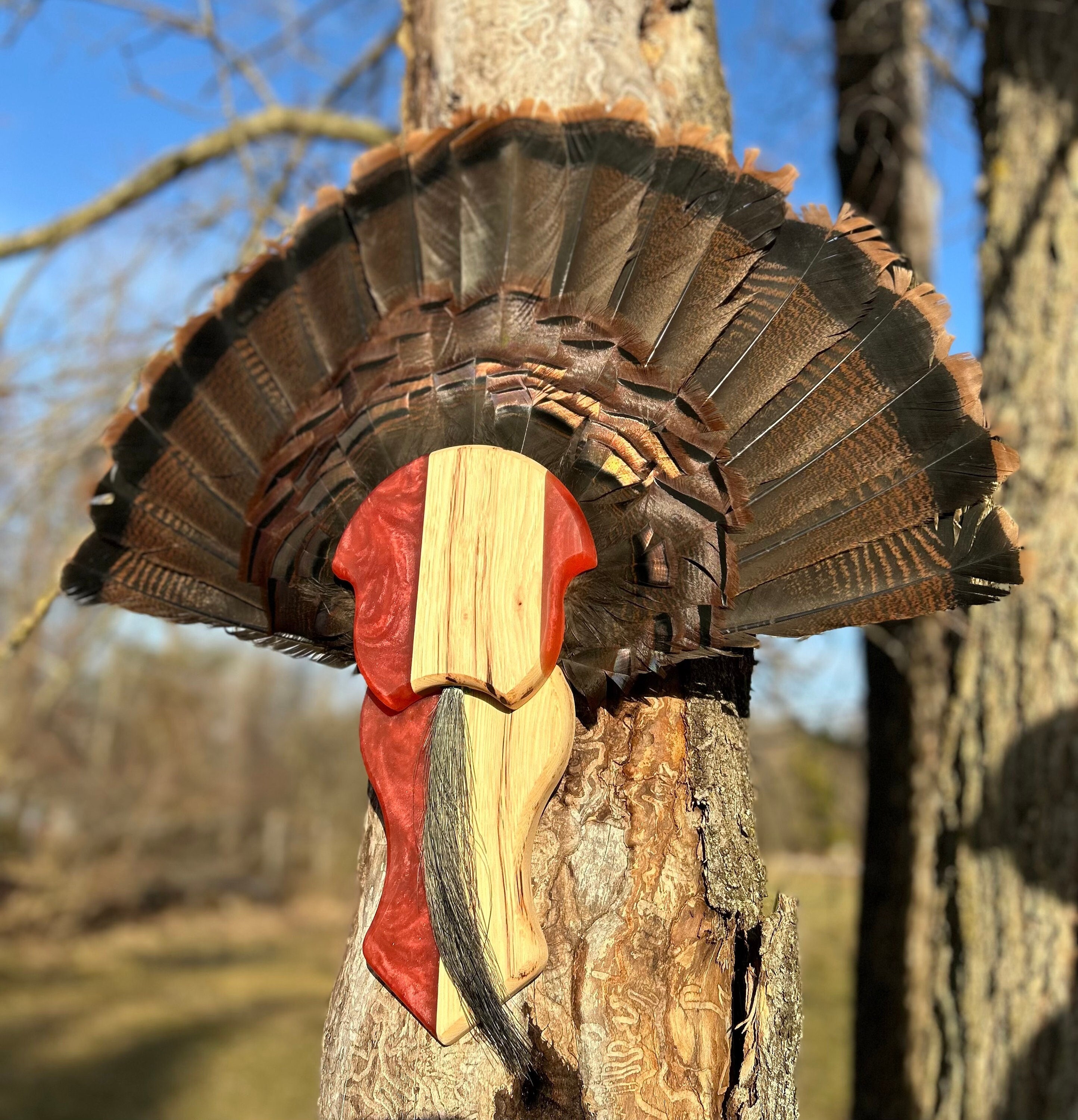 Turkey Tail Mount Plaque Epoxy & Wood Etsy