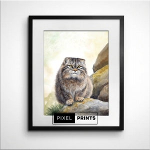 Watercolor Manul Pallas Cat Sitting on Rocks Wall Art Print | Digital Download