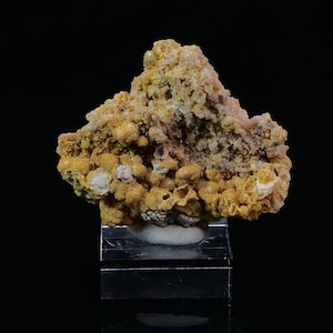 Puede incluir: Un grupo de especímenes minerales amarillos y blancos con una textura similar a un panal de abejas. El espécimen se muestra en una base de vidrio transparente.
