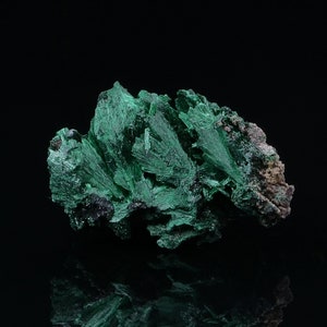Malachite from Katanga DR Congo 25 grams Collectible minerals