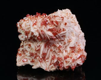 Vanadinite sur Baryte de Mibladen Maroc  550 grammes  Minéraux de collection