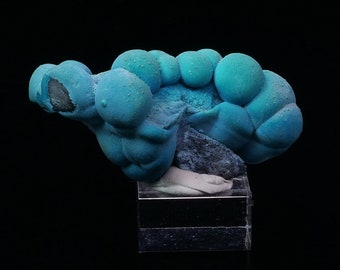 Chrysocolle de l'Etoile du Congo Mine RD Congo  25 grammes  Minéraux de collection