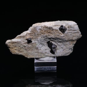 Magnetiet op Diamantina Schist Brazilië 40 gram Verzamelbare mineralen