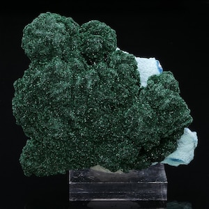 Primary Malachite on Chrysocolla from the Mashamba West mine in DR Congo 360 grams Collectible Minerals