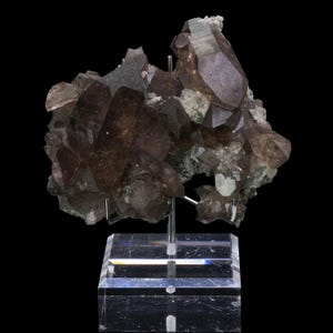 May include: A cluster of smoky quartz crystals, showcasing a range of brown hues, from light to dark. The crystals are mounted on a clear acrylic stand against a black background. The quartz formation has a complex, multi-faceted structure.