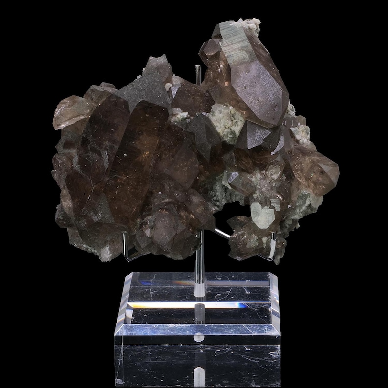 May include: A cluster of smoky quartz crystals, showcasing a range of brown hues, from light to dark. The crystals are mounted on a clear acrylic stand against a black background. The quartz formation has a complex, multi-faceted structure.