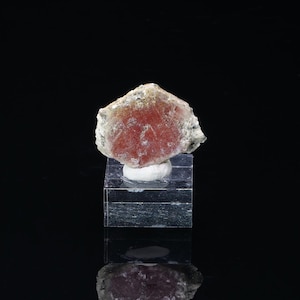 Può includere: Un esemplare di cristallo rosa e bianco su un supporto di esposizione trasparente. Il cristallo ha una forma esagonale ed è traslucido.