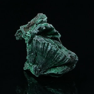 Malachite from Katanga DR Congo 35 grams Collectible minerals