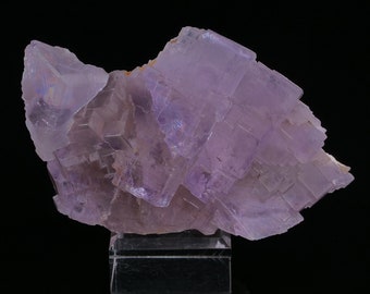 Fluorite from Berbes Asturias Spain 500 grams Collectible minerals