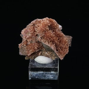 May include: A cluster of pink and brown mineral crystals on a white base. The crystals are arranged in a cluster, with some of the crystals pointing upwards. The crystals are on a clear acrylic base.