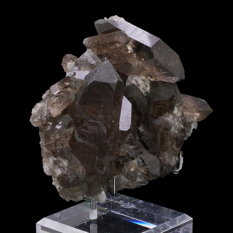 May include: A cluster of smoky quartz crystals, showcasing a range of brown hues and sharp, pointed terminations. The crystals are mounted on a clear acrylic stand against a black background, highlighting their natural beauty and geological formation.