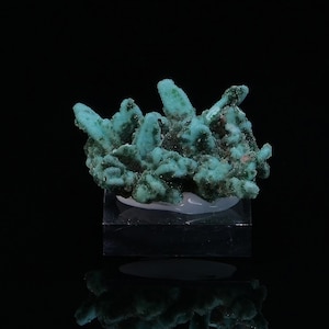 Peut inclure: Un groupe de cristaux vert turquoise sur une base blanche. Les cristaux sont disposés de manière aléatoire et organique, créant un affichage unique et intéressant.