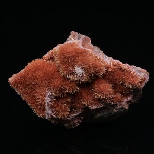 May include: A cluster of orange-red, spiky crystals on a dark gray rock. The crystals are arranged in a radial pattern, creating a unique and interesting texture.