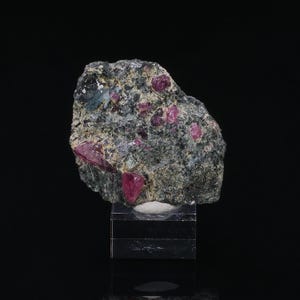 Op de afbeelding: Een ruwe, onregelmatig gevormde rots met ingebedde, levendige rode robijnkristallen. De rots heeft een donkergrijze en groene matrix en wordt gepresenteerd op een heldere, rechthoekige standaard tegen een zwarte achtergrond.