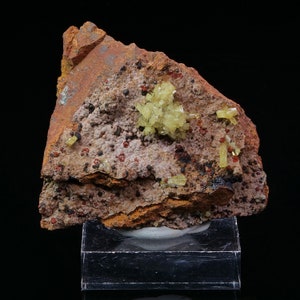May include: A close-up of a rock specimen with yellow crystals and red and black mineral inclusions.