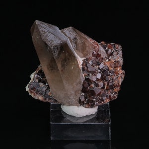 Garnet and Smoky Quartz Wushan Mine China 70 grams Collectible Minerals