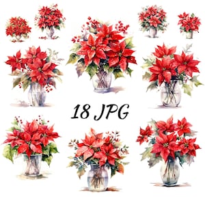 Clipart fiore Poinsettia, clipart Poinsettia in vaso, clipart Poinsettia, clipart Poinsettia acquerello, download digitale, uso commerciale