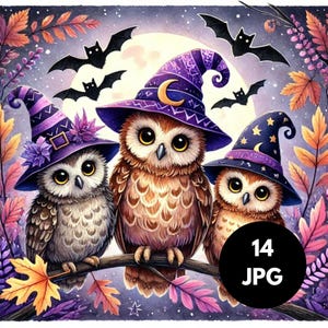 Eule Hexe, Halloween Eule Clipart, Eule Clipart digitales Papier kommerzielle Nutzung, Junk Journal, Familie der Eulen tragen Hexenhüte Halloween Clipart