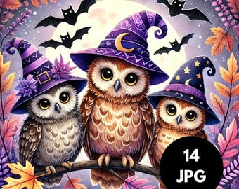 Búho brujo, clipart de búho de Halloween, clipart de búho para uso comercial en papel digital, diario basura, familia de búhos con sombreros de bruja, clipart de Halloween
