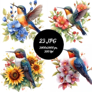Imágenes prediseñadas de colibrí, tarjeta de papel de ilustración digital de colibrí que hace uso comercial, clip art de pájaro, colibrí de acuarela, paquete de imágenes prediseñadas