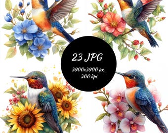 Imágenes prediseñadas de colibrí, tarjeta de papel de ilustración digital de colibrí que hace uso comercial, clip art de pájaro, colibrí de acuarela, paquete de imágenes prediseñadas