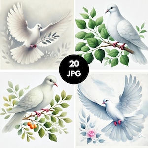 White dove clipart pack, Watercolor Peace Dove , Dove clipart bundle, Peace dove, Dove images commercial use, Watercolor clipart bundle