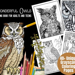 Owl Coloring Book Pages Adult Owls Coloring Pages for ADHD Grayscale Coloring Page Bird Coloring Pages - Gift, Printable PDF Activity