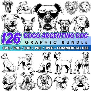 Pacote SVG de Cachorro Dogo Argentino: Arquivos Recortados a Laser (Download Digital)