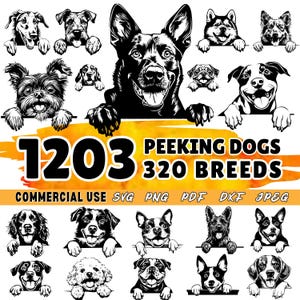 Fichiers découpés au laser | Chiens furtifs toutes races | Fichiers de gravure laser | Ensemble Svg Dxf Png Pdf | fichiers cnc | téléchargements numériques | Utilisation commerciale