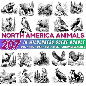 Animais da América do Norte svg | Pacote de cenas selvagens | Vida selvagem da floresta svg | Silhueta de animais svg | Arquivos dxf para Cricut | Downloads digitais