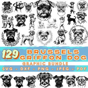 Chien griffon de Bruxelles svg | Lot Cricut pour chien mignon | clipart griffon de bruxelles png | fichiers svg pour animaux de compagnie | téléchargements numériques | usage commercial