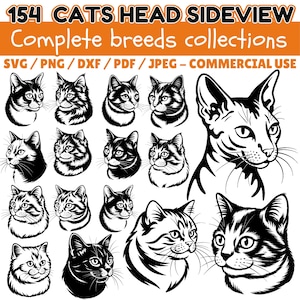 Cat Breeds Head Clipart Bundle: Pet Lover SVG, PNG, PDF (Digital Download)