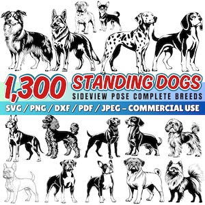 Staande honden svg-bundel | 320 hondenrassen zijaanzicht | full-body-silhouet | hondenras clipart | cricut svg dxf gesneden bestanden digitale downloads
