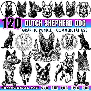 Diseños de perros pastores holandeses / Archivos SVG listos para láser / Arte de corte de grabado / Paquete de archivos DXF, PNG y PDF / Descarga digital / Uso comercial