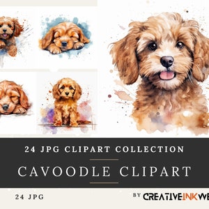 May include: A set of watercolour Cavapoo clipart images. The illustrations depict cute brown and tan Cavapoo puppies in different poses, including sleeping and sitting. The image text reads "24 JPG Clipart Collection Cavoodle Clipart".
