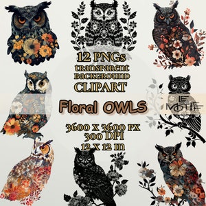 Puede incluir: Doce ilustraciones digitales de búhos con patrones florales. Los búhos son blanco y negro con una variedad de patrones florales en tonos naranja, amarillo y marrón. El texto "12 PNGS transparent background CLIPART Floral OWLS 3600 X 3600 PX 300 DPI 12 X 12 in" se muestra debajo de los búhos.