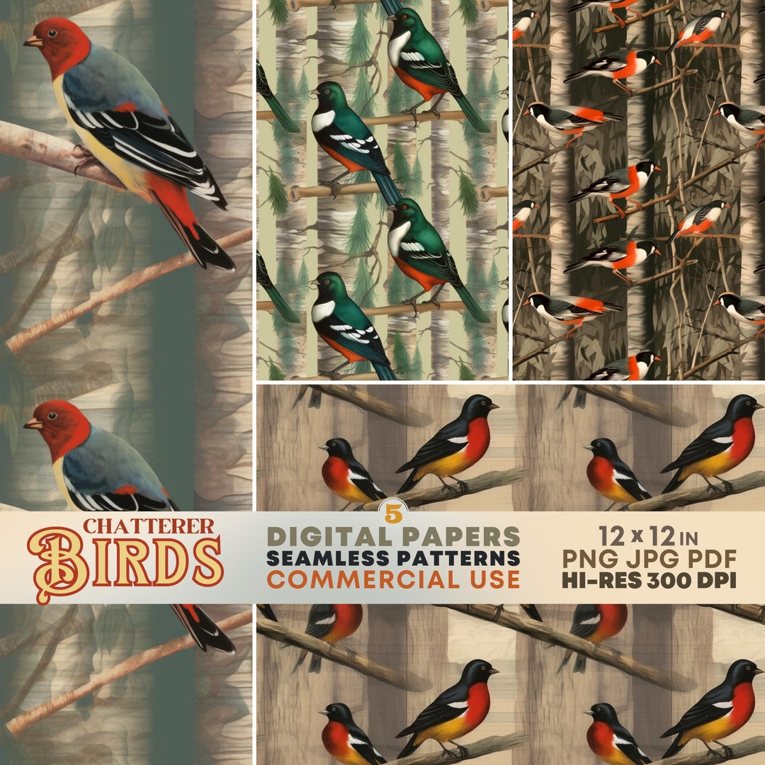 Colorful Birds SEAMLESS Patterns Printable Birds DIGITAL Papers - Etsy