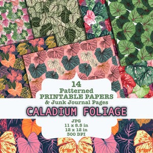 Caladium Foliage DRUCKBARE Papiere | Tropischer Engel Flügel Blätter Junk Journal Seiten | Bunte exotische Pflanzen gemusterte digitale Hintergründe