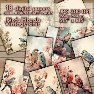 Papeles digitales imprimibles con motivos florales pictóricos románticos y flores de pájaros y flores, páginas de diario basura para escribir con acuarelas suaves y antiguas