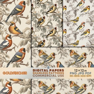 Goldfinch Bird SEAMLESS Patterns Printable Goldfinch Birds DIGITAL Papers Backgrounds