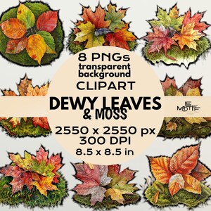 Dewy Leaves & Moss Clipart, Colorful Fall Leaves PNGs, Autumn Leaf DIGITAL Sticker Pack, Transparent Background Forest Foliage Clip Art